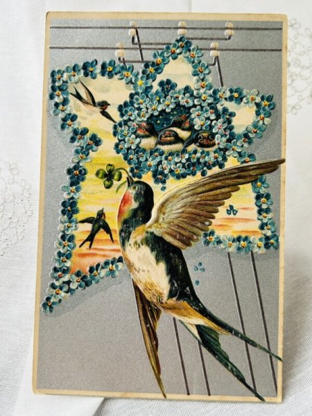 画像1: Postcard  　アンティークポストカード　ツバメ　1910年 (1)
