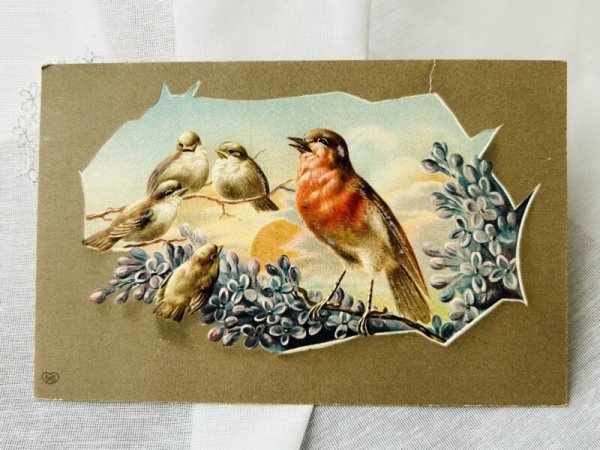 画像1: Postcard  　アンティークポストカード　小鳥とライラックのお花　ロビン (1)