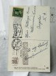 画像2: Postcard  　アンティークポストカード　歌うカナリア　1910年 (2)