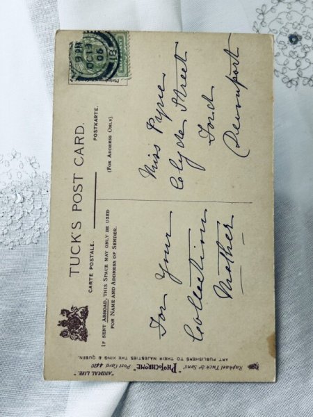 画像2: Postcard アンティークポストカード 写真 物乞いをする猫 イギリス1906年 (2)