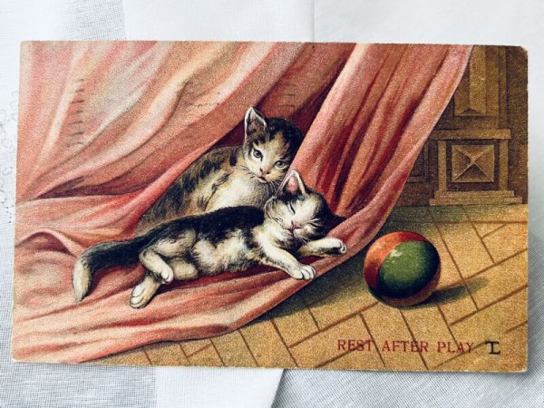 画像1: Postcard　アンティークポストカード　遊び疲れて眠りに落ちた子猫たち　1908年 (1)