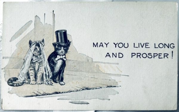 画像1: Postcard　アンティークポストカード　猫の結婚式　花嫁　新郎　（未使用）　 (1)