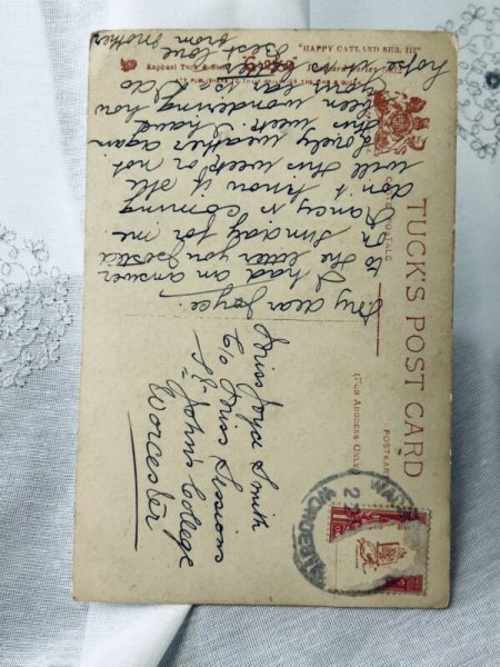 画像2: Postcard アンティークポストカード 写真 2匹の白猫とスパニエル犬 イギリス (2)