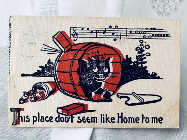 画像1: Postcard　アンティークポストカード　この場所は僕の家には向いてない　ごみ置き場の黒猫　1908年 (1)