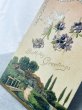 画像2: Postcard 　アンティークポストカード　スミレのお花を運ぶ白鳩と田舎の風景 (2)
