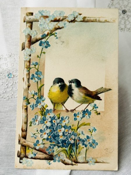 画像1: Postcard  　アンティークポストカード　忘れな草のお花と小鳥　アオガラ　 (1)