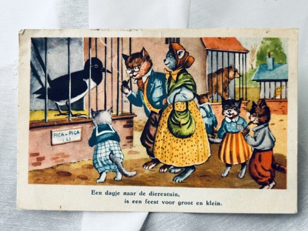 画像1: Postcard　アンティークポストカード　動物園を楽しむ猫の家族　1957年 (1)