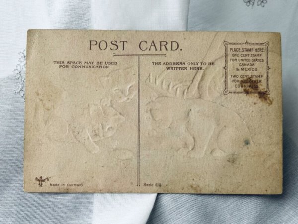 画像2: Postcard　アンティークポストカード　コフキコガネ虫と子猫たち　（未使用） (2)