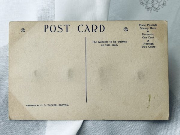 画像3: Postcard アンティークポストカード イースター 塀の上で演奏をする猫たち ネコヤナギ (未使用) (3)