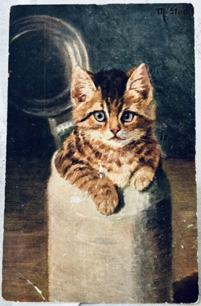 画像1: Postcard　アンティークポストカード　ポットの中の子猫　 (1)