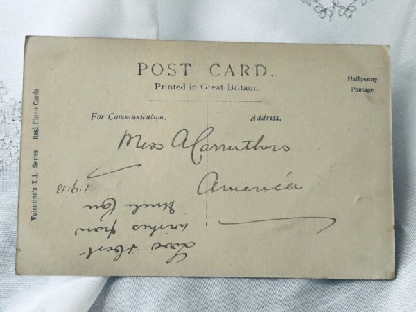 画像2: Postcard アンティークポストカード 写真 5匹の子猫たち  (2)