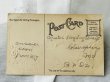 画像2: Postcard  　アンティークポストカード　2羽のロビン　小鳥 (2)