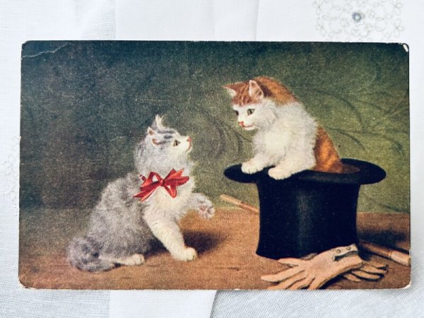 画像1: Postcard　アンティークポストカード　シルクハットと2匹の子猫　アメリカ1908年 (1)