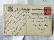 画像3: Postcard　アンティークポストカード　テディベアと猫とバイオリン　イギリス1912年 (3)