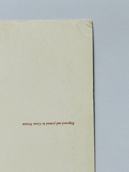 角にゆるい折れあり。