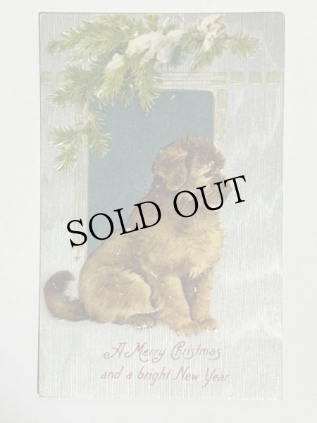 画像1: Postcard  　アンティークポストカード　クリスマス　茶色の子犬　Helena Maguire  (1)