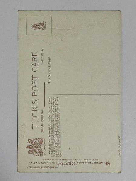 画像2: Postcard   アンティークポストカード 2匹の犬 ウエストハイランドテリアとハウンド犬 (2)