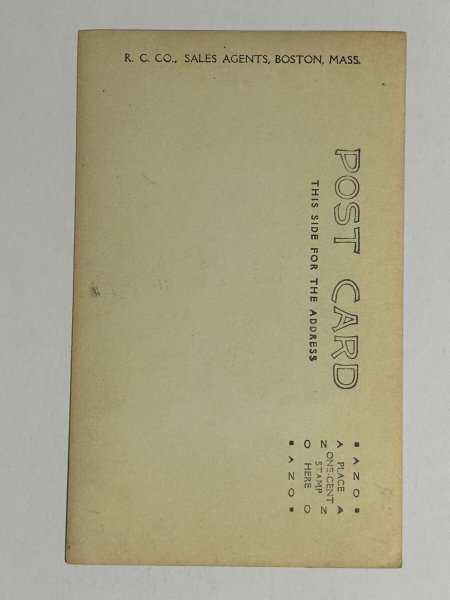 画像2: Postcard   アンティークポストカード 写真 乳母車を押すプードル犬 (未使用) (2)