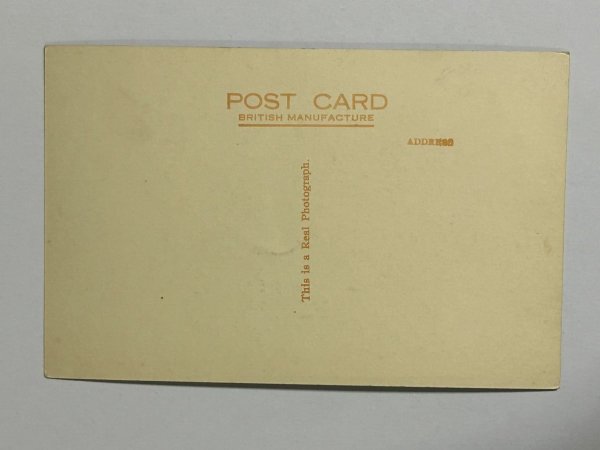 画像2: Postcard   アンティークポストカード 写真 ワイヤーフォックステリア イギリス (未使用) (2)