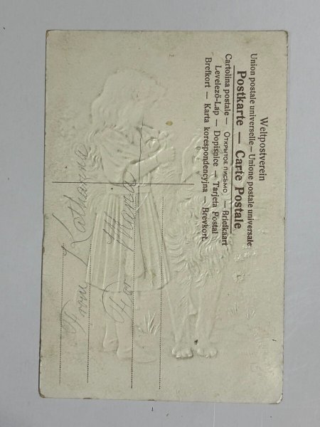 画像3: Postcard   アンティークポストカード 女の子と大きな犬 シルク貼り バーニーズ・マウンテン・ドッグ (3)