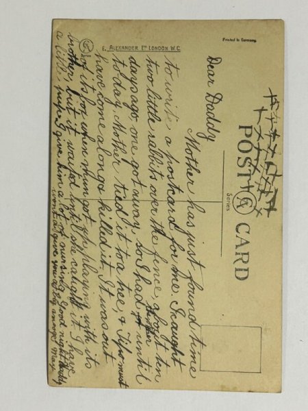 画像2: Postcard   アンティークポストカード 写真 女の子と大きな犬 バーニーズマウンテン (2)