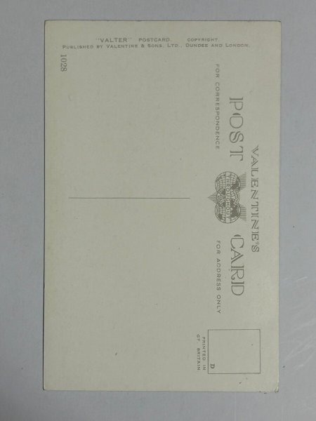 画像2: Postcard   アンティークポストカード 仲良しの犬と猫 テリア犬 Florence E Valtar (未使用) (2)