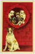 画像1: Postcard  　アンティークポストカード　 犬の家族　テリア　Helena Maguire  (1)