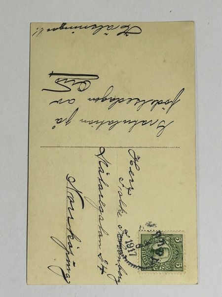 画像2: Postcard   アンティークポストカード 写真 ダックスフンドと子どもたち 1917年 (2)