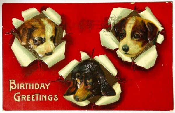 画像1: Postcard  　アンティークポストカード　破れから顔を出した犬たち (1)