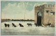画像1: Postcard  　アンティークポストカード　犬ぞり　カナダ　ウィニペグ　Canada Winnipeg (1)