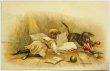 画像1: Postcard  　アンティークポストカード　ダックスフンド犬と遊ぶ女の子 (1)