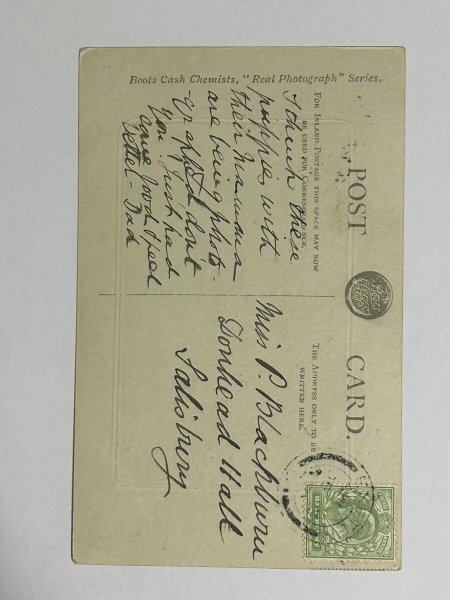 画像2: Postcard   アンティークポストカード 写真 キャバリア・キング・チャールズ・スパニエル犬と猟犬の子犬 (2)