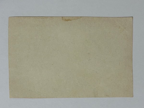 画像2: Vintage greeting card  　アンティークカード　子どもたちと犬たち　 (2)