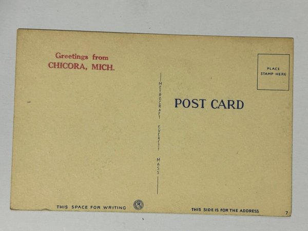 画像2: Postcard  　アンティークポストカード　ウエストハイランド犬　ウエスティ　（未使用） (2)