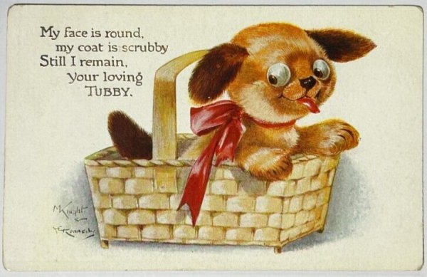 画像1: Postcard  　アンティークポストカード　バスケットの中のタビー犬　Tubby dog (1)