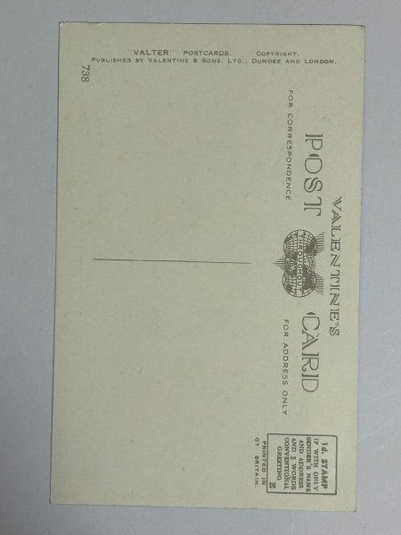 画像2: Postcard   アンティークポストカード 黒猫と犬 Florence E Valtar  (2)