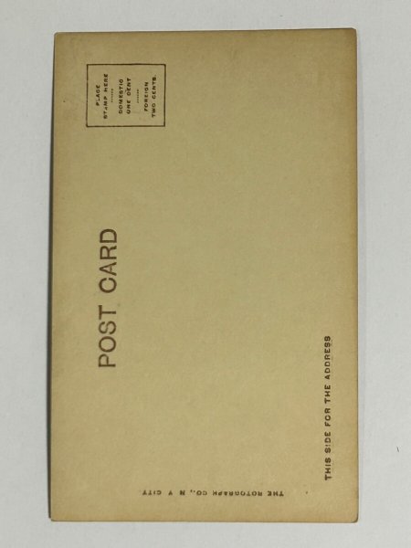 画像2: Postcard  　アンティークポストカード　写真　コリー犬　ボーダーコリー　（未使用） (2)