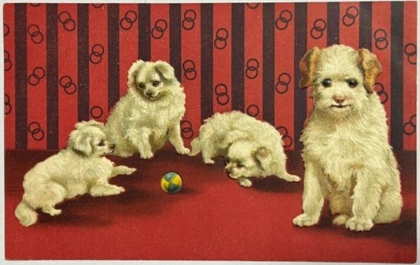 画像1: Postcard  　アンティークポストカード　ボールで遊ぶ仔犬たち　Helena Maguire 1908年 (1)