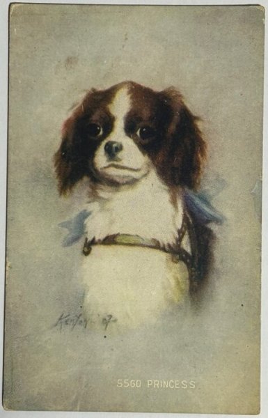 画像1: Postcard  　アンティークポストカード　スパニエル犬　キャバリア・キング・チャールズ・スパニエル　トライカラー　（未使用） (1)