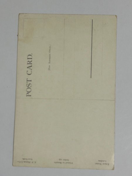 画像2: Postcard   アンティークポストカード スコットランドテリア スコッティ (未使用) (2)