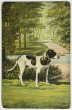 画像1: Postcard  　アンティークポストカード　猟犬 (1)