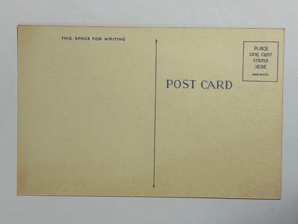 画像2: Postcard   アンティークポストカード 寂しい子犬 (未使用) (2)