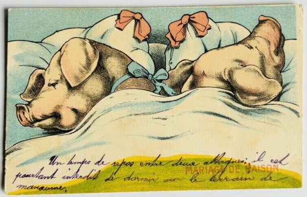 画像1: Postcard  アンティークポストカード　mariage de raison　理性的結婚の豚さんたち (1)