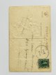 画像2: Postcard　アンティークポストカード　女の子を連れ去るテディベアたち　M.Greiner 　1907年 (2)