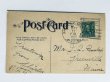 画像2: Postcard　アンティークポストカード　スキーを楽しむクマさん　熊　1908年 (2)