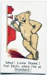 画像1: Postcard　アンティークポストカード　電話をする熊　クマ　テディベア　イギリス（未使用） (1)