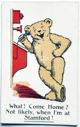 Snowdrop Postcards アンティークポストカード専門店 < Teddy Bear >