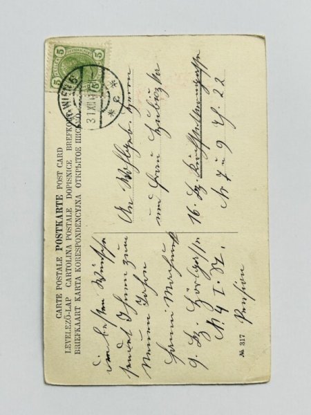 画像3: Postcard  アンティークポストカード 新年祝い New Year  豚の紳士を追い出そうとする老婆 ダンサー (3)