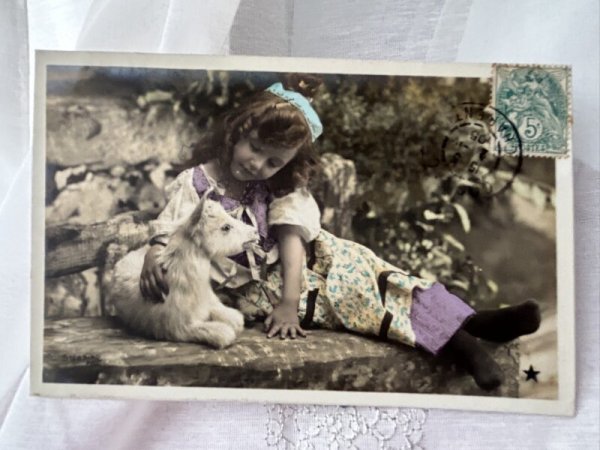 画像1: Postcard    アンティークポストカード　写真　子ヤギと女の子　フランス1905年 (1)