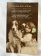 画像1: Postcard    アンティークポストカード　写真　大きな犬と女の子　イギリス (1)